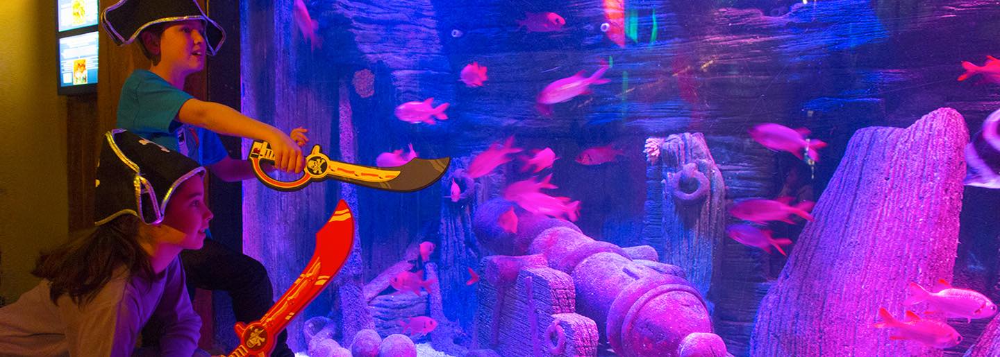 What to do in Sea Life Aquarium