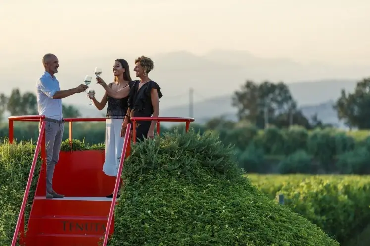 Lake Garda: Wine Region and local wines -Masi Wine Experience