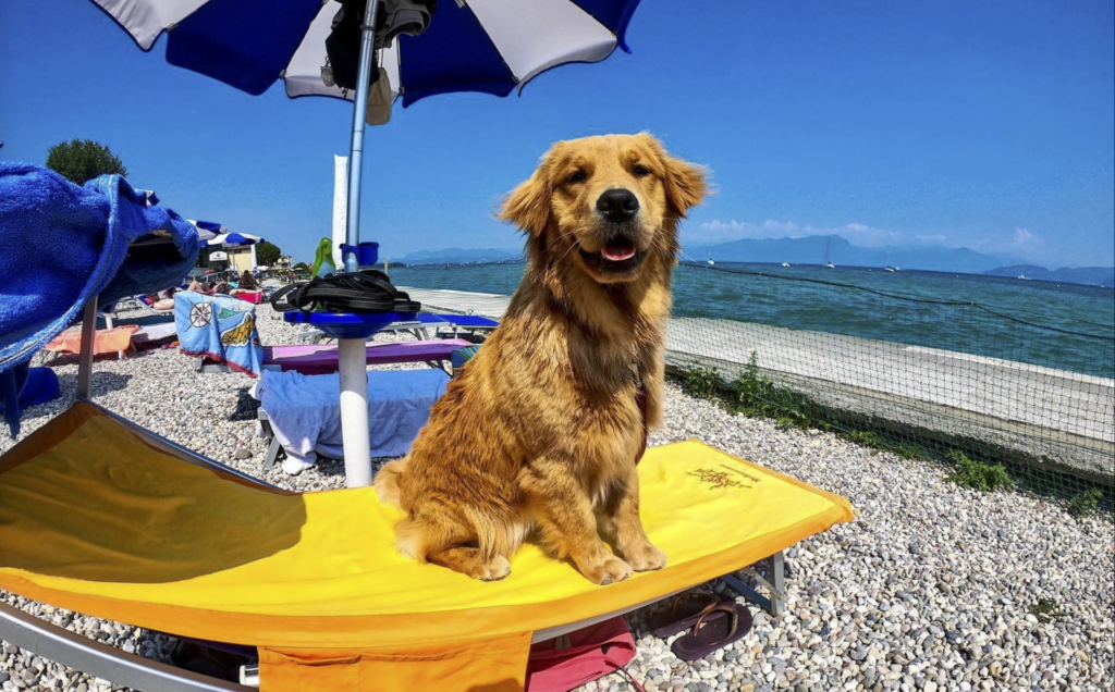 Vakantie Gardameer met hond
